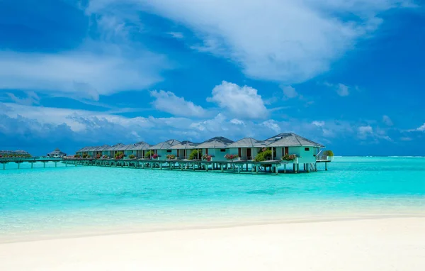 马尔代夫的热带海滩 很少有棕榈树和蓝色泻湖 — 图库照片