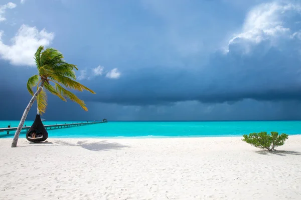 Живописный Вид Тропический Пляж Мальдивах Днем — стоковое фото