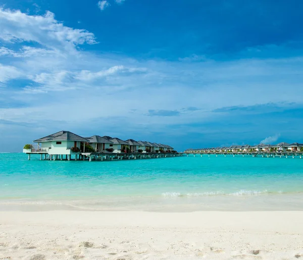 Scenic View Tropical Beach Maldives Daytime — Stock Photo, Image