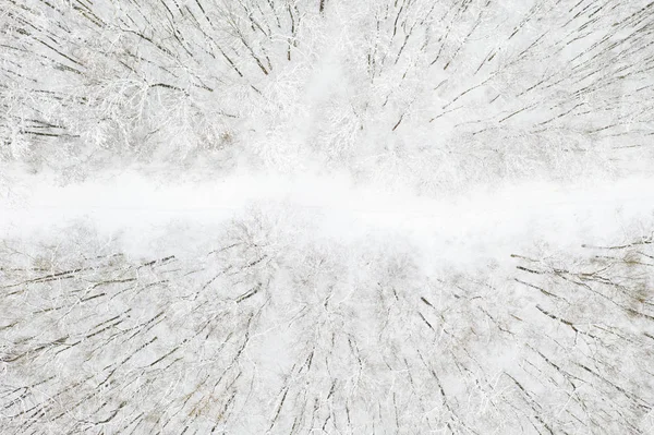 Beautiful Winter Forest Road — Stock Photo, Image