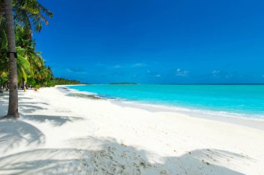 Beyaz kumlu sahili ve denizi olan tropik Maldivler adası