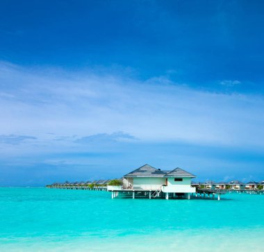 Maldivler 'de birkaç palmiye ağacı ve mavi lagünü olan tropik plaj