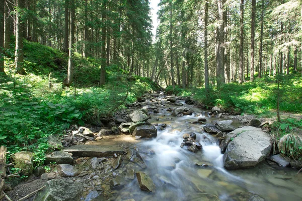 Panoramischer Schöner Tiefer Waldwasserfall — Stockfoto