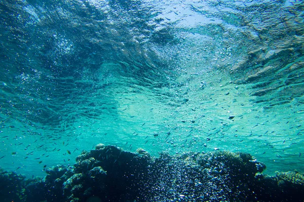 Tranquil Underwater Scene Copy Space — Stock Photo, Image