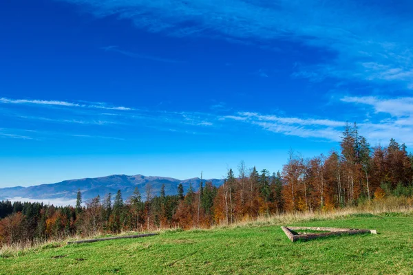 Carpazi Montagna Soleggiata Paesaggio — Foto Stock