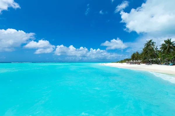 Ilha Maldivas Tropicais Com Praia Areia Branca Mar — Fotografia de Stock