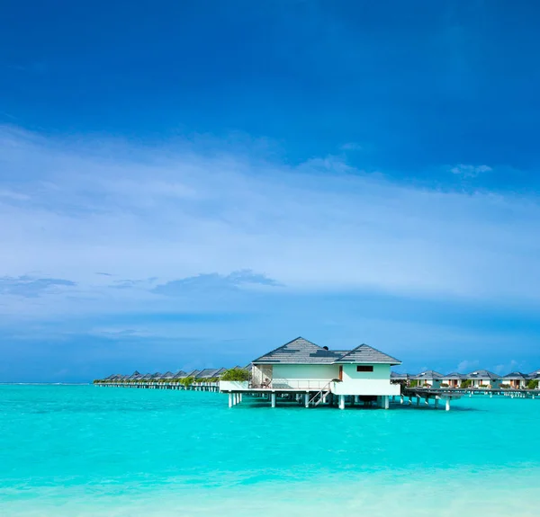 Tropikalna Plaża Malediwach Kilkoma Palmami Błękitną Laguną — Zdjęcie stockowe