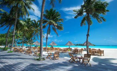 Beyaz kumlu sahili ve denizi olan tropik Maldivler adası