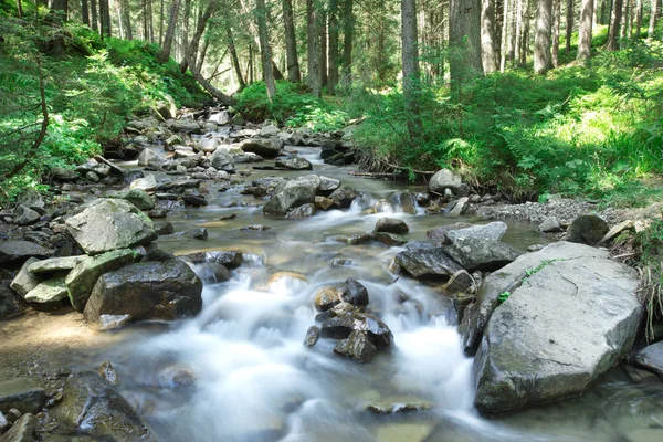 Panoramatické Krásné Hluboké Lesní Vodopád — Stock fotografie