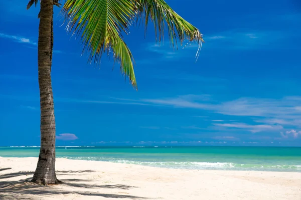 Spiaggia Tropicale Nello Sri Lanka Vacanza Estiva Concetto Vacanza Turismo — Foto Stock