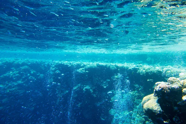 Rustige Onderwater Scene Met Kopieerruimte — Stockfoto