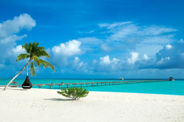 Tropical Maldives Island White Sandy Beach Sea — Stock Photo, Image