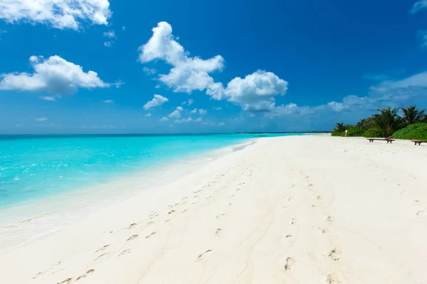 Beyaz Kumlu Sahili Denizi Olan Tropik Maldivler Adası — Stok fotoğraf