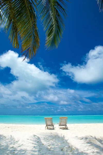 Ilha Maldivas Tropicais Com Praia Areia Branca Mar — Fotografia de Stock