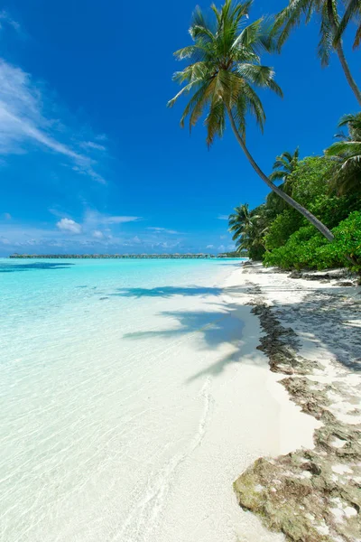 Trópusi Maldív Szigetek Sziget Fehér Homokos Tengerpart Tenger — Stock Fotó