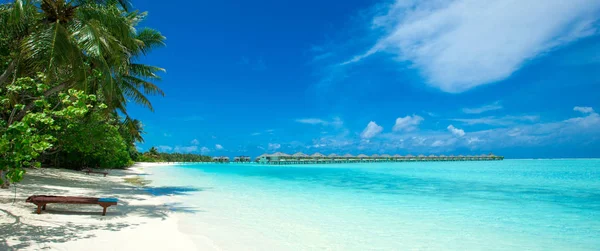 Tropical Beach Maldives Few Palm Trees Blue Lagoon — Stock Photo, Image