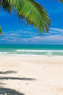 Sri Lanka 'da tropik bir sahil. Turizm için yaz tatili ve tatil kavramı.