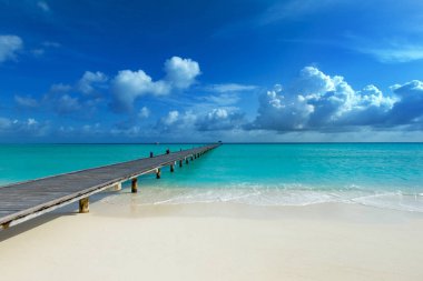 Beyaz kumlu sahili ve denizi olan tropik Maldivler adası