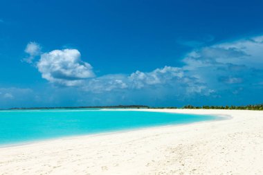 Beyaz kumlu sahili ve denizi olan tropik Maldivler adası