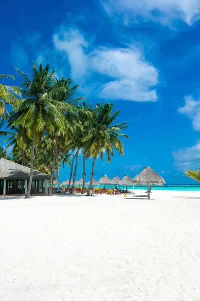 Ilha Maldivas Tropicais Com Praia Areia Branca Mar — Fotografia de Stock