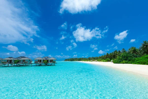 Île Tropicale Des Maldives Avec Plage Sable Blanc Mer — Photo