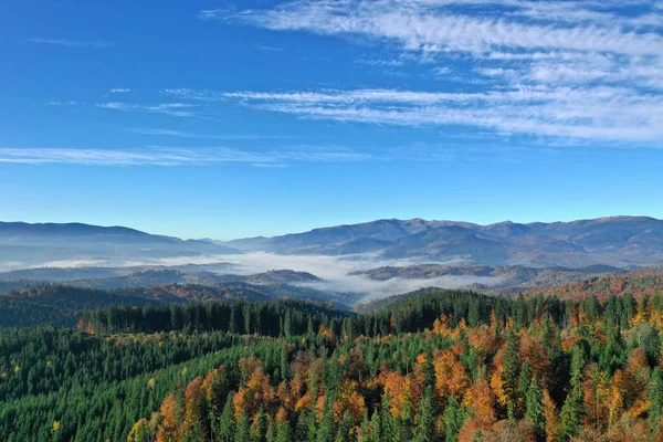 Carpathian Mountain Sunny Landscape — Stock Photo, Image