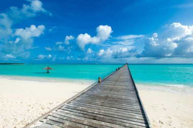 Beyaz kumlu sahili ve denizi olan tropik Maldivler adası