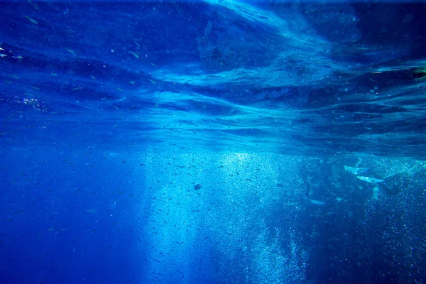 Tranquila Escena Submarina Con Espacio Para Copiar — Foto de Stock