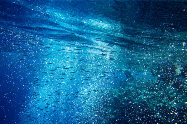 Tranquil Underwater Scene Copy Space — Stock Photo, Image