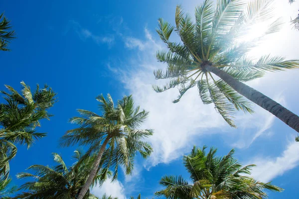 Isla Tropical Maldivas Con Playa Arena Blanca Mar — Foto de Stock