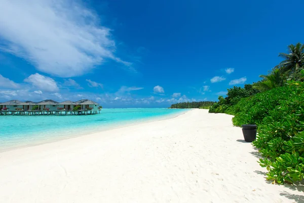 Isla Tropical Maldivas Con Playa Arena Blanca Mar — Foto de Stock