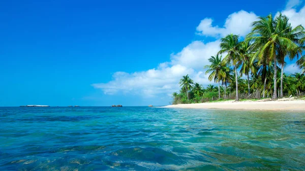 Tropisk Strand Sri Lanka Sommar Semester Och Semester Koncept För — Stockfoto