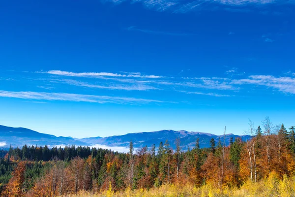 Carpathian Mountain Sunny Landscape — Stock Photo, Image