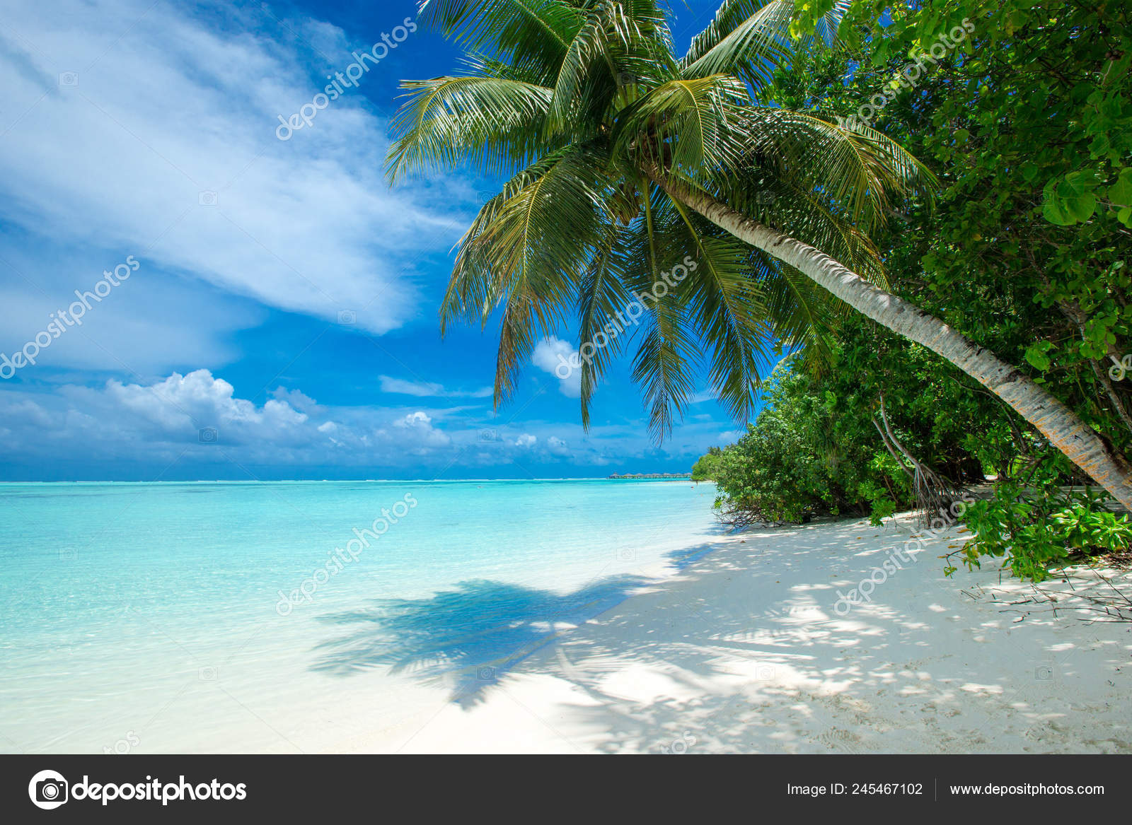 白い砂浜と海を持つ熱帯モルディブの島 ストック写真 C Pakhnyushchyy
