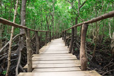 Çimenli bahçe taşı yolu