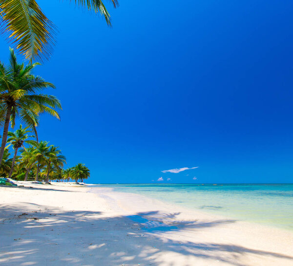 Beach and beautiful tropical sea. 