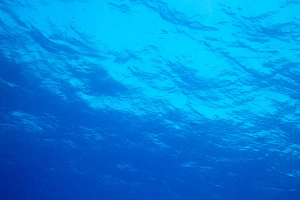 Tranquila Escena Submarina Con Espacio Para Copiar — Foto de Stock