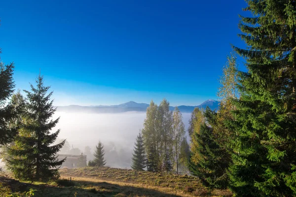 Carpathian Berg Soliga Landskap — Stockfoto
