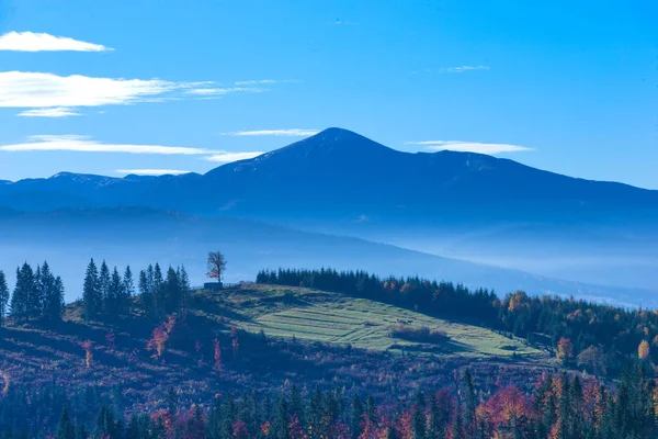 Karpatské Horské Slunné Krajina — Stock fotografie