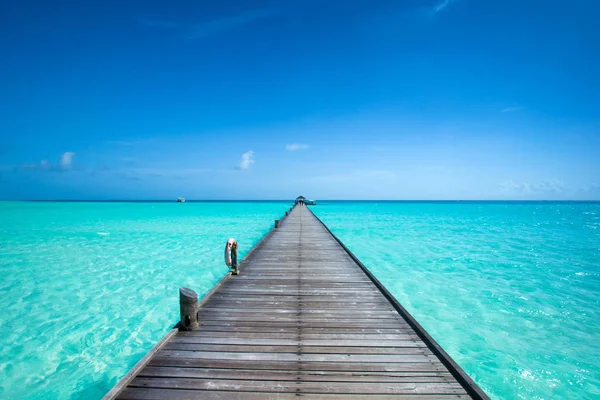 Isola Tropicale Delle Maldive Con Spiaggia Sabbia Bianca Mare — Foto Stock