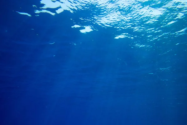 Tranquila Escena Submarina Con Espacio Para Copiar — Foto de Stock