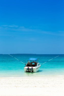  deniz Zanzibar Beach. Doğal tropikal su cenneti. Doğa rahatla. Seyahat tropikal Island resort. 