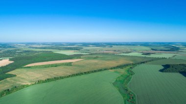 yeşil tarla ve mavi gökyüzü