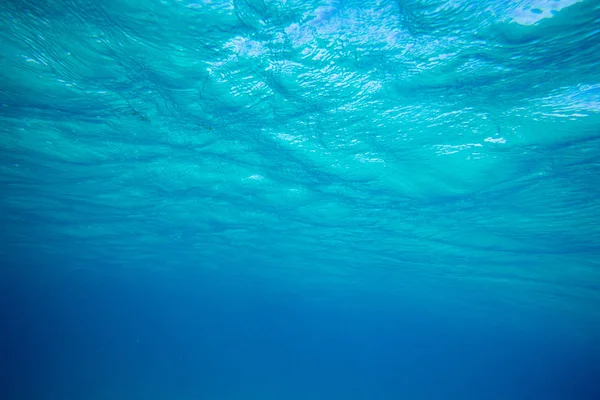 Scène Sous Marine Tranquille Avec Espace Copie — Photo