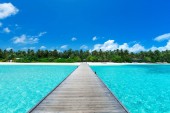 Картина, постер, плакат, фотообои "tropical maldives island with white sandy beach and sea", артикул 247348742
