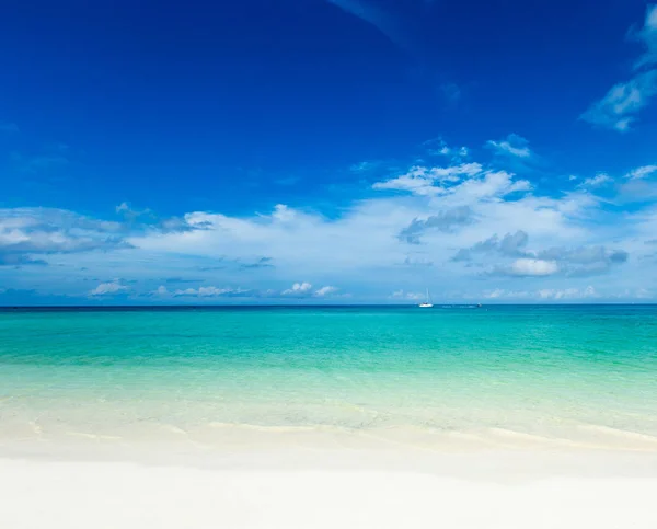 Playa Tropical Maldivas Con Pocas Palmeras Laguna Azul —  Fotos de Stock