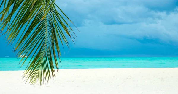 Île Tropicale Des Maldives Avec Plage Sable Blanc Mer — Photo