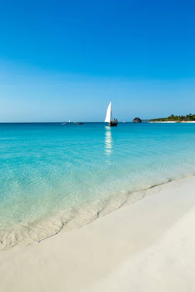 Mar Praia Zanzibar Paraíso Natural Água Tropical Natureza Relaxar Viagem — Fotografia de Stock