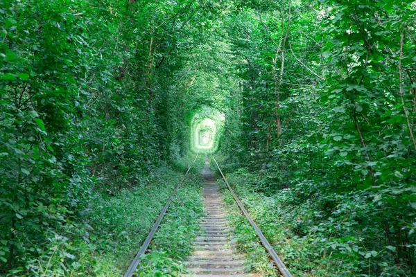 Beau Tunnel Vert Amour — Photo