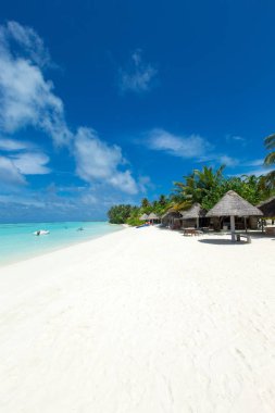 Beyaz kumlu sahili ve denizi olan tropik Maldivler adası